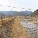 달천제방길 네이버블로그