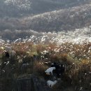 햇살목장 이미지