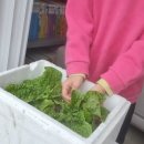 은자농장 이미지