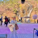 안산자락길 숲속카페 이미지