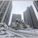 골드T공인중개사사무소 이미지