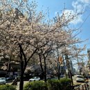 서울대입구역 6번출구 앞 이미지