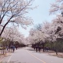 설빙만수3지구점