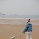 더바른동물병원 앞 이미지