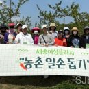 플라자농장 이미지