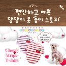 사계절 옷 | [제품정보]🍒 골지 면100% 강아지옷 후기 사계절 입히기 좋은 강아지옷 '둥이스토리'