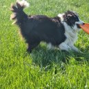 약산농장 이미지