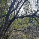 제주불교성지 순례길 절로 가는길 - 지계의 길 이미지