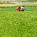 농업회사법인 연호 주식회사 이미지