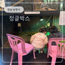 3154 | 순천 아이랑 가볼 만한 곳 실내 체험관 | 정글박스 솔직후기