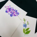 붓펜캘리그라피(주말반) 이미지