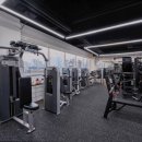 바디짐헬스 이미지