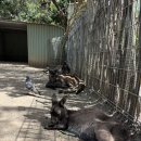 (주)다가본