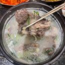 꼬리한마리