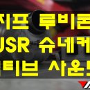 슈네케