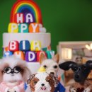 봉구스틱 이미지