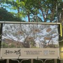 낙성대 공원 이미지