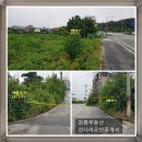 강릉부동산 신나라 공인중개사사무소 네이버블로그