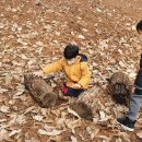 본아미어린이집 이미지