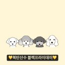 복탄산수 이미지