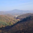 도마산초등학교 | 양주 파주의 점미산, 노고산, 자웅산