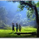 맑은아이 이미지