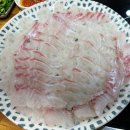 손선생회