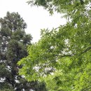 공주 계곡 이레 캠핑장 네이버블로그