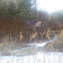 산책길에 이미지