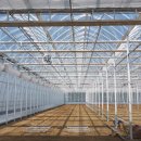 (주)비에스팜 이미지