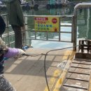 청호 갯배 이미지