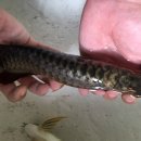 포에버농장 이미지