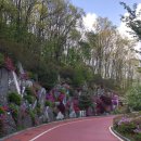 개를 위한 하루 이미지