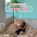 할리베어 | 제부도 오션뷰 카페 곰돌이 천국 할리베어 카페