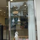 꽃담 멍발소 이미지