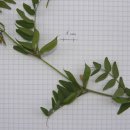 구주목장 이미지