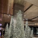 멍포차 | 그랜드 하얏트 제주 킹룸 솔직 후기 :: 수영장 38층 스카이뷰 포차 조식 부대시설