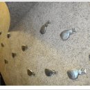 해금강복어 이미지