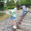 용인대 문창 태권도장 | ⚡ [조원초/문창초 학부모님 필독!] 신림동 초등부 태권도: 금강태권도에서 '자신감 넘치는 학교 생활'을...
