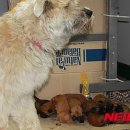 천연누리 이미지