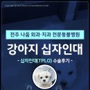 나음동물메디컬센터 이미지