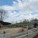 경사목장 이미지