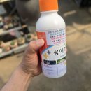 응칠을 다 사용해가면... 이미지