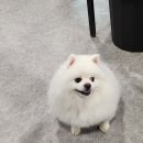 숯불구이봄설