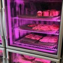 고기친구 | 신중동 고기 맛집 제줏간 신중동점, 남자친구랑 고기 털러 갔다가 배 터진 후기