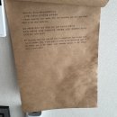 도원남로 | 제주애견동반숙소 제주애견동반여행 | 달뷰스테이 애견동반 자쿠지 숙소 찐 후기