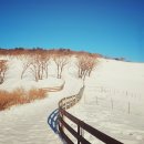 신등목장 이미지