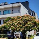 태산부동산중개사무소 이미지