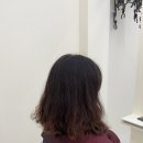 상도동 살롱