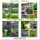 원순농장 이미지